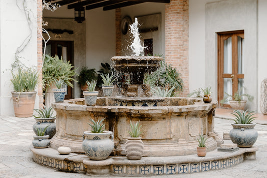 a fountain surrounded by potted plants in front of a building
