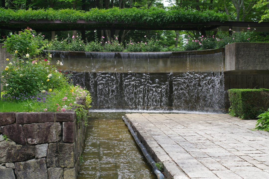 A small waterfall in the middle of a garden