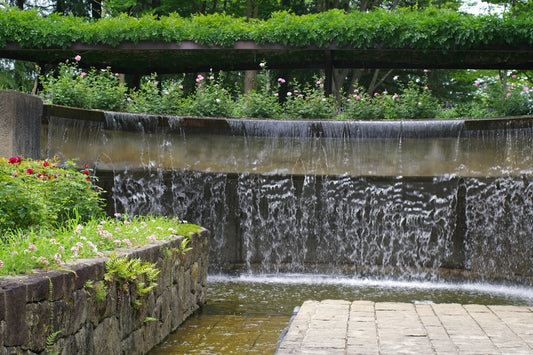 A water feature in a garden with flowers and greenery