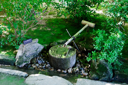 Bamboo water feature in a lush japanese garden