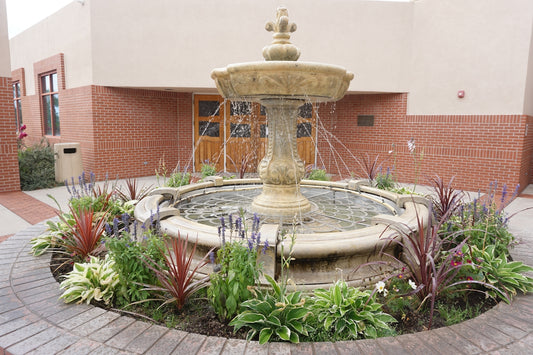 a fountain surrounded by plants in front of a building