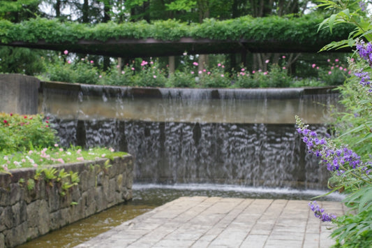 A water fall in a garden with purple flowers