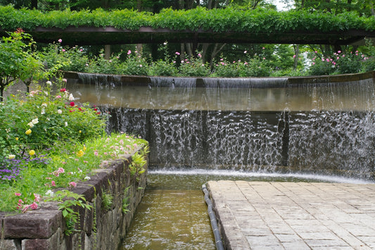 A water fall in a garden with flowers and greenery