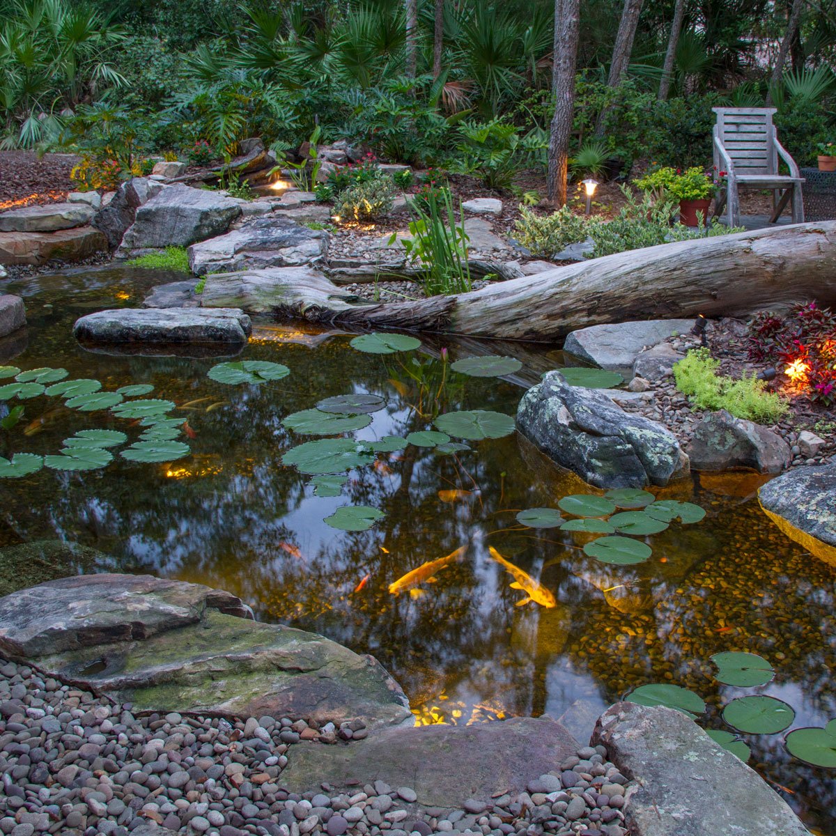 Large Deluxe Pond Kit 21 X 26