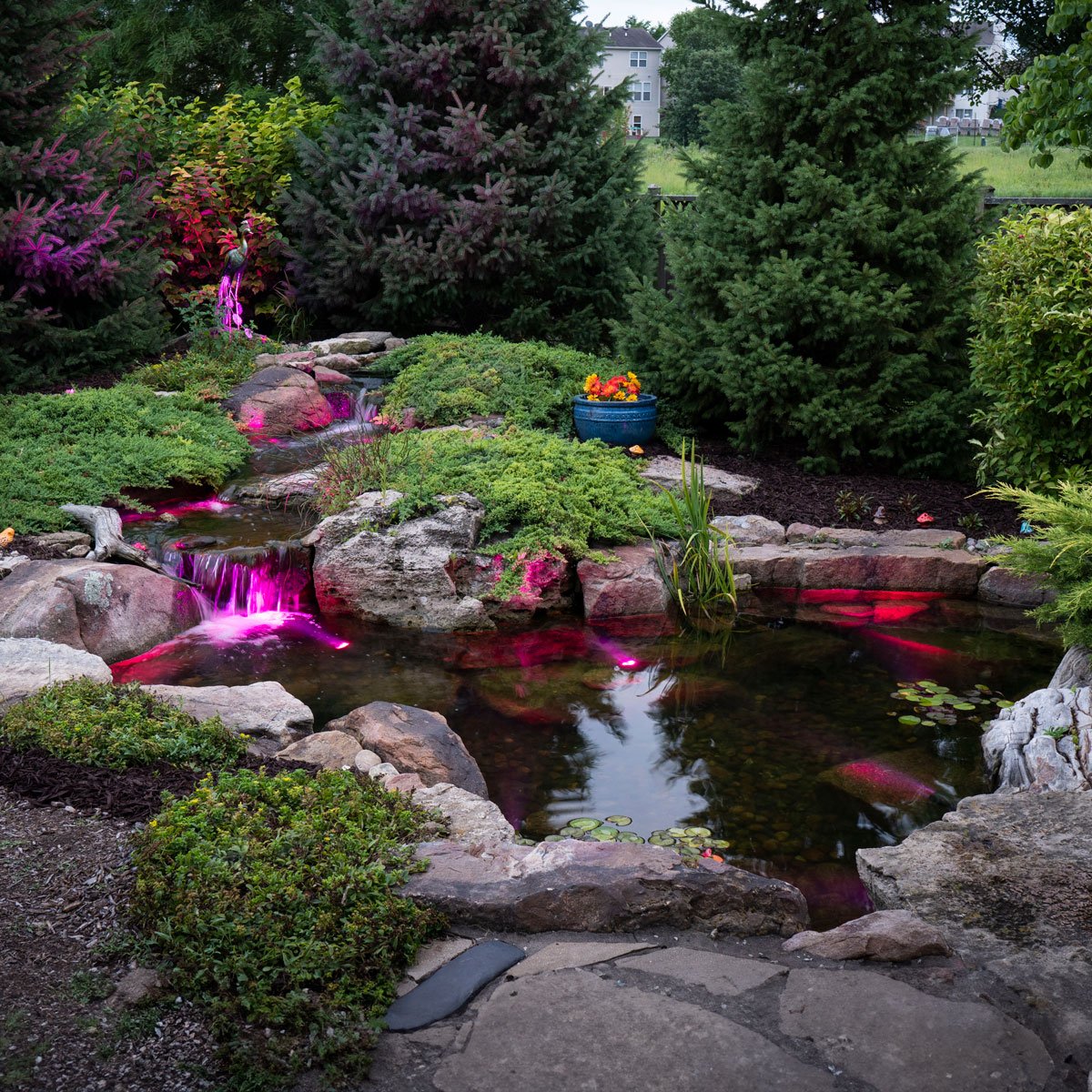 Medium Deluxe Pond Kit 11 x 16