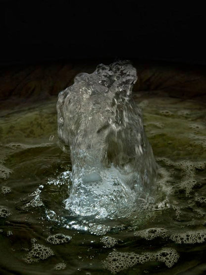 Leaf Motif Fountain